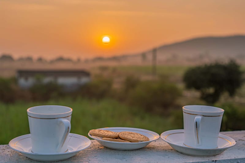 Le Bon Horizon - Near Sula Vineyards – photo 23