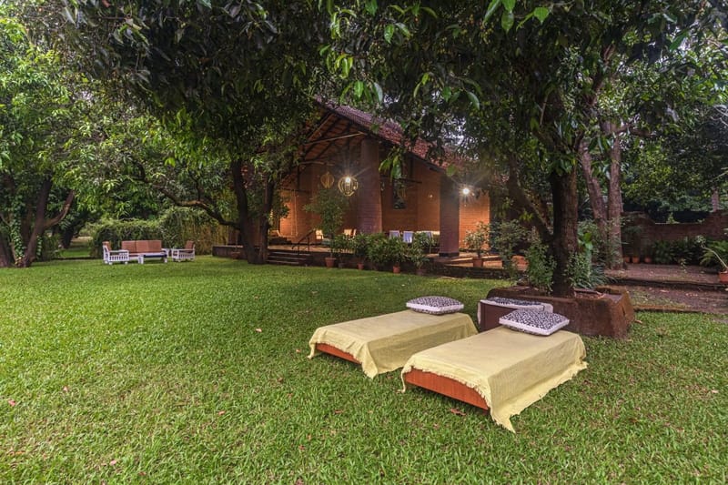 Ambe Moha – photo 11