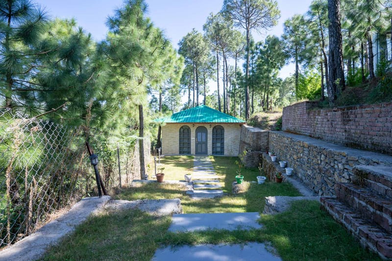 Walk in the Woods - Rajgarh – photo 11