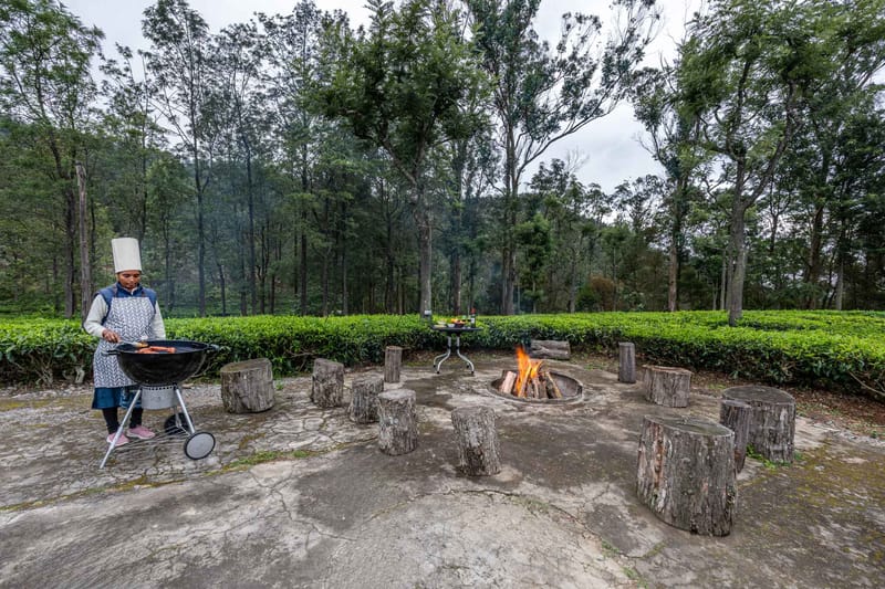 Farview Presidential Suite - Coonoor – photo 4