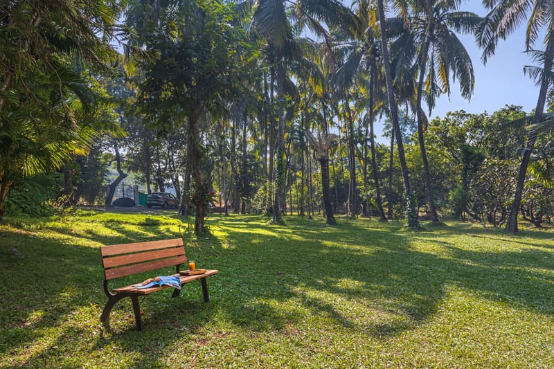 Oriana - Kolgaon, Alibaug – photo 23