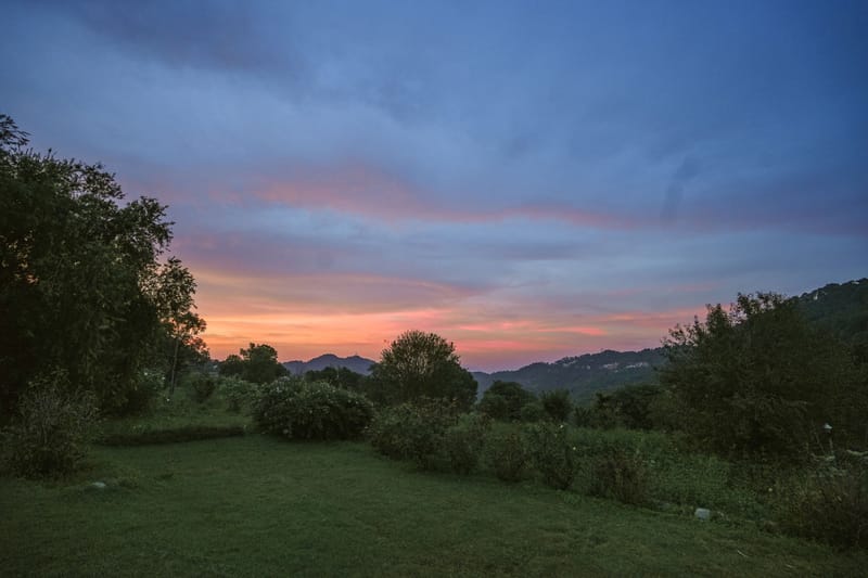 Kasauli Estate: Royalty – photo 27