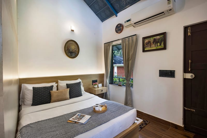 Avocado Cottages Cozy Room | Pet-friendly Garden Suite Amid Avocado & Coffee Estate – photo 15