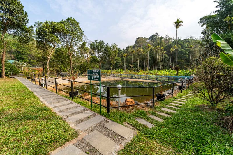 Premium Rooms @ Princess of Wayanad – photo 6