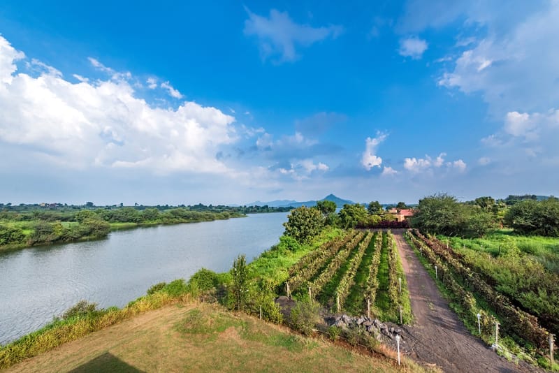 Rose Vineyard by the Lake - Villa in Nashik, Maharashtra – photo 8