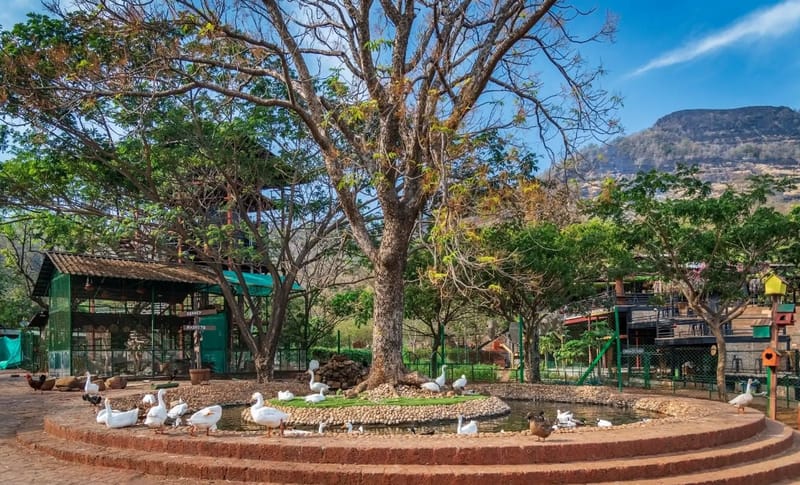 Antaraa – photo 11