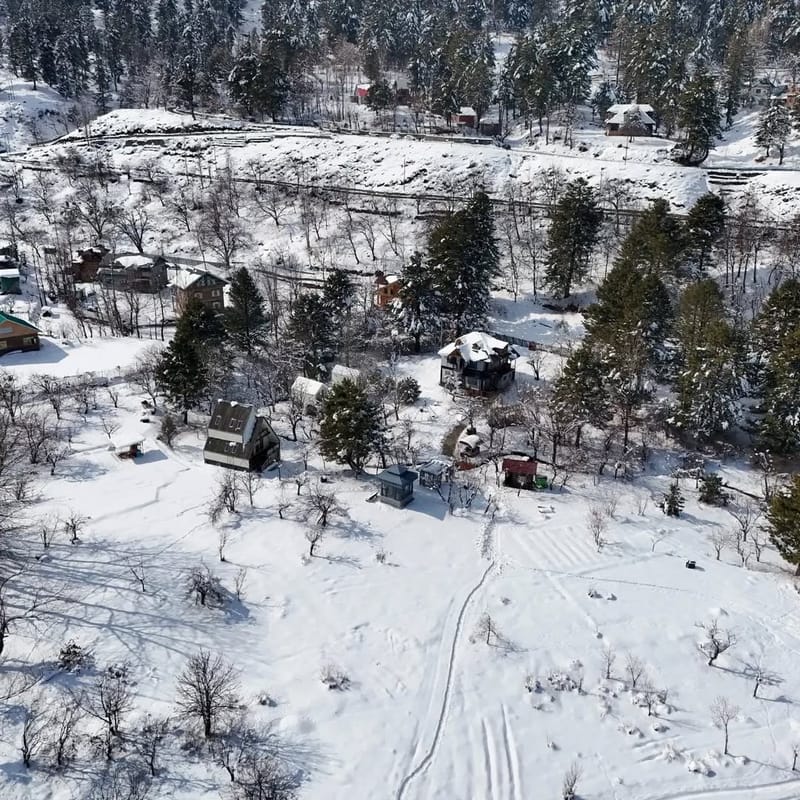 Cheese Cottage Estate ~ Olive Chalet – photo 6