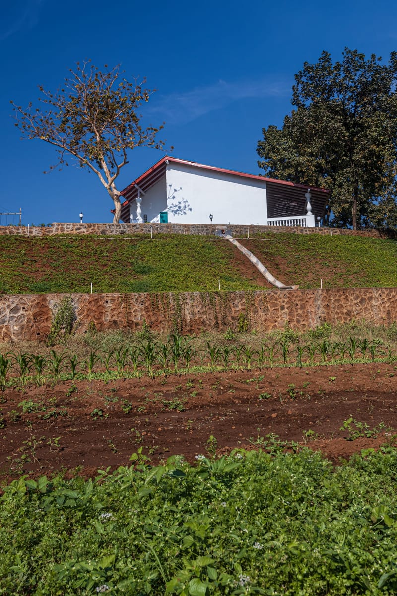 Mariposa by the River (7 bedroom entire estate) – photo 75