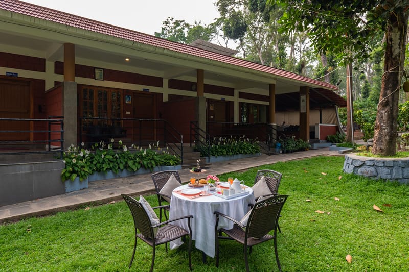 Avocado Cottages Deluxe Room | Pet-friendly Stay With Private Outdoor Seating Amid Avocado & Coffee Estate – photo 3