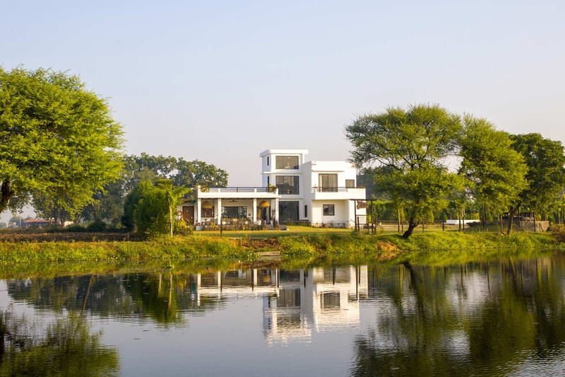 Lotus by the lake – photo 1