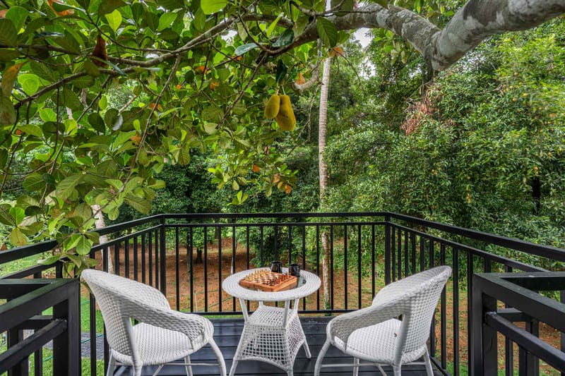 Le Jardin – photo 15