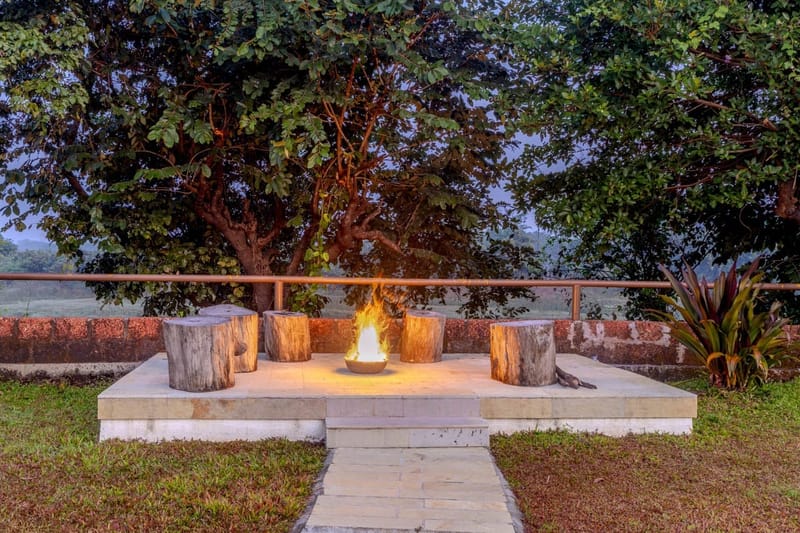 Impiana – photo 2