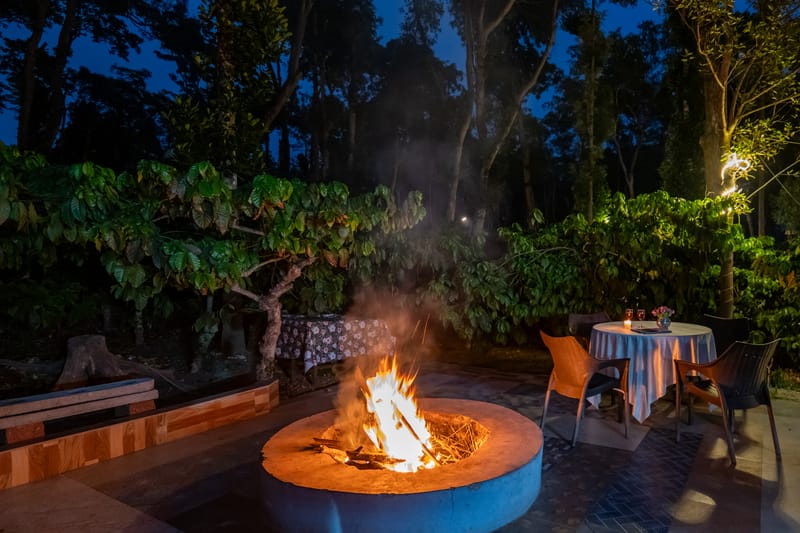 Avocado Cottages Deluxe Room | Pet-friendly Stay With Private Outdoor Seating Amid Avocado & Coffee Estate – photo 11