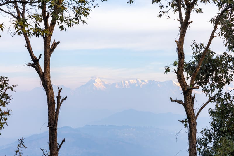 Hill Homes Cottages Mallow | 1-BHK With Workstation Sit-out Area Near Mukteshwar | Pet-friendly – photo 6