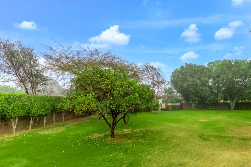 Luxe FarmAcre | Pet-friendly 4-BHK Villa With Private Pool, Garden & Terrace – photo 46