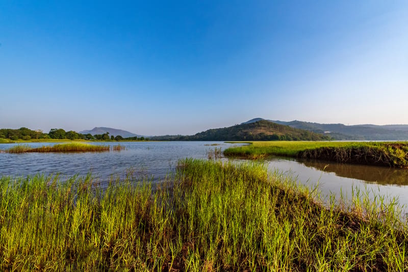 Lakeview Nivara - Panshet, Pune – photo 33