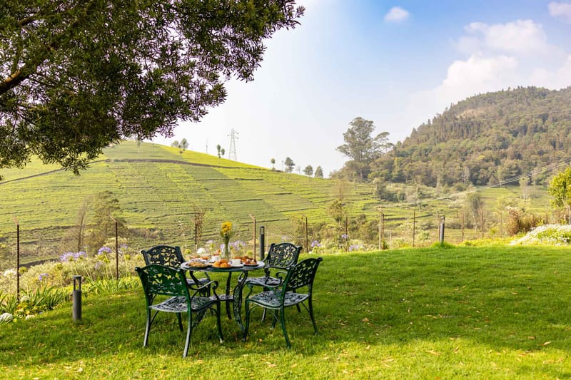 The Hydrangeas - Coonoor – photo 31