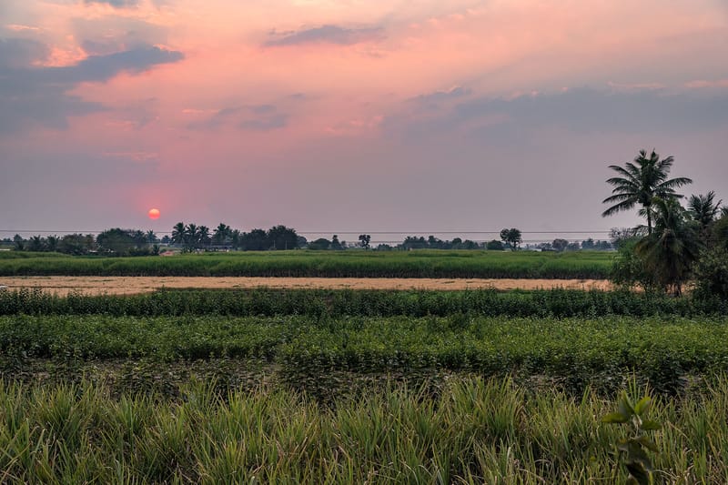 Happy Fields - Pune – photo 27