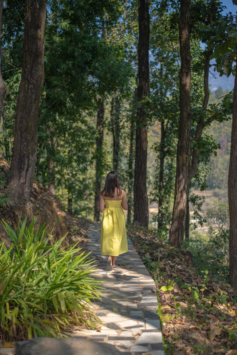 Mystic Grove – photo 19