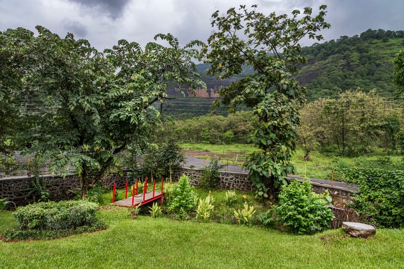 Aranyaani  – photo 3