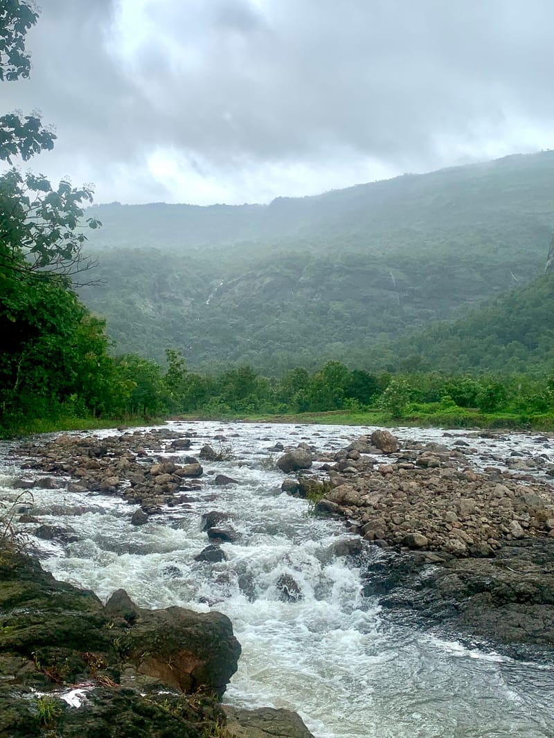 SanvinaFarm - Karjat – photo 52