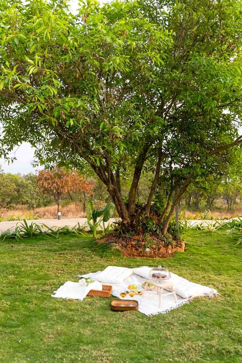 Masava - Luxury Tents – photo 28