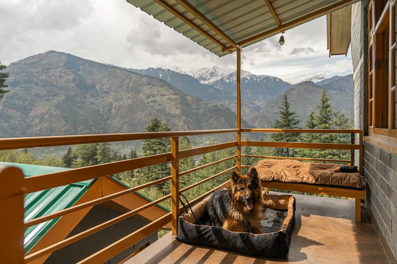 Nivara - Naggar – photo 30