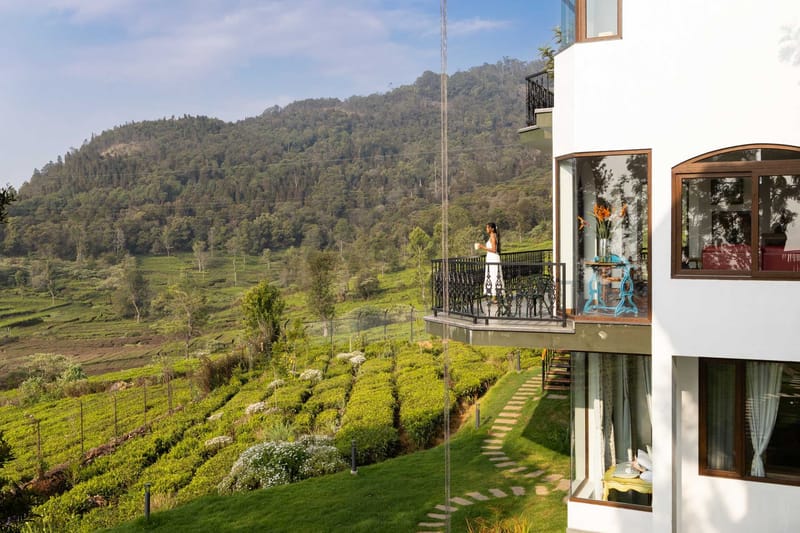 The Hydrangeas - Coonoor – photo 43