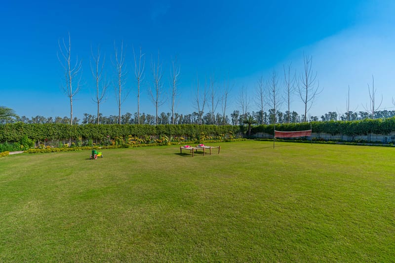 Colour Bloom - Karnal – photo 20
