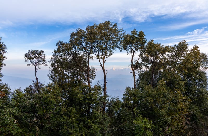 Hill Homes Cottages Mulberry | 2-BHK With Workstation Patios With Hill Views, Near Mukteshwar | Pet-friendly – photo 20