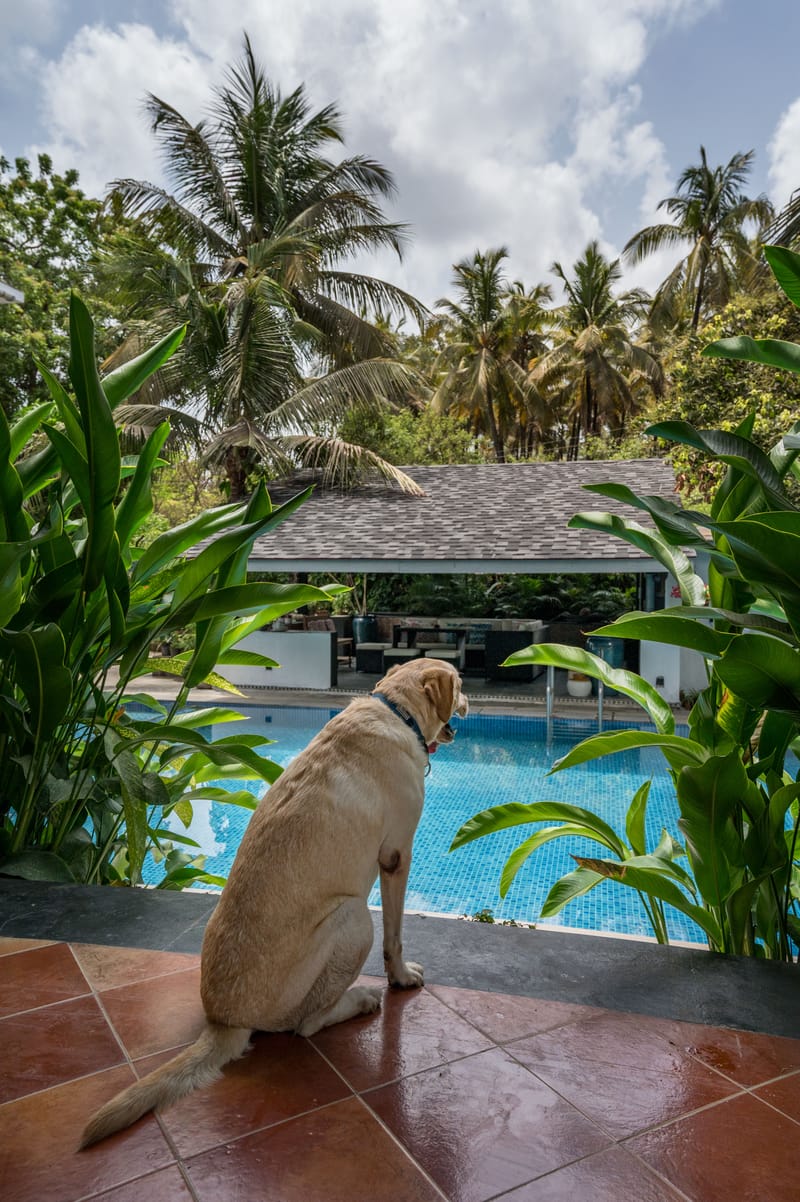 Osaree - Alibaug, Maharashtra – photo 14