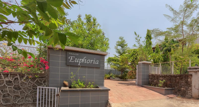Euphoria – photo 41