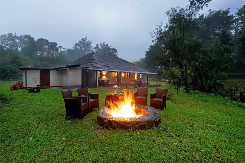 The Fig Tree Villa – photo 3