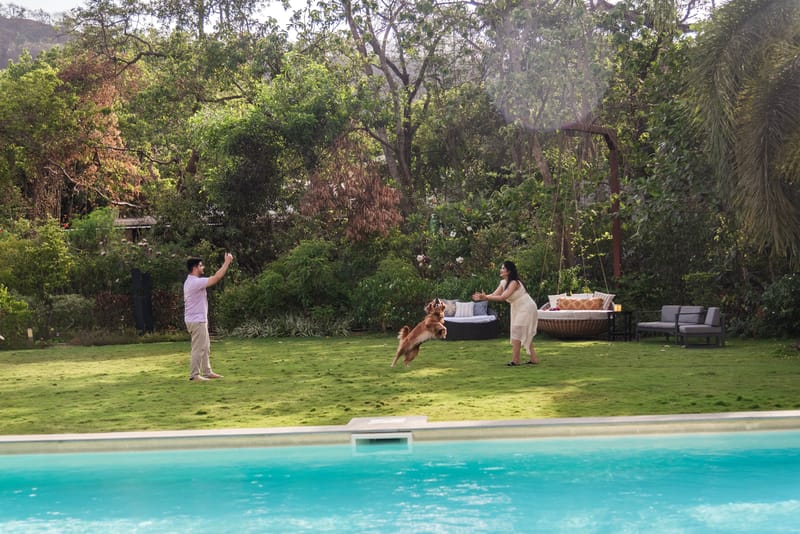 Estella - Alibaug, Maharashtra – photo 11