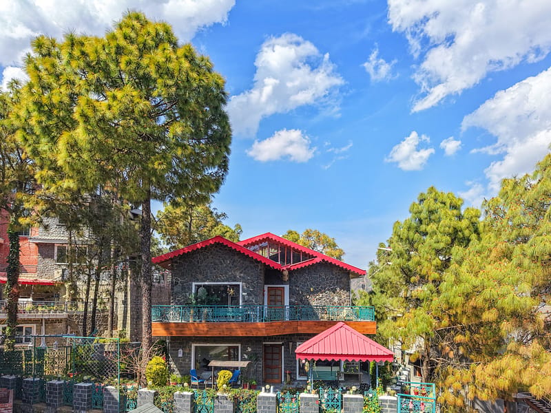 Aaram Bagh | Pet-friendly 4-BHK Escape Amid Pine Forests with Valley Views Near Kasauli – photo 2