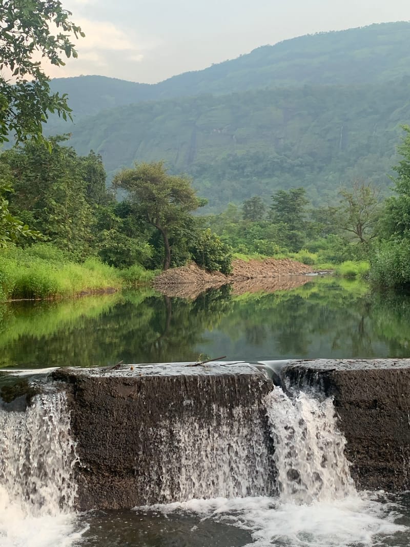 SanvinaFarm - Karjat – photo 50
