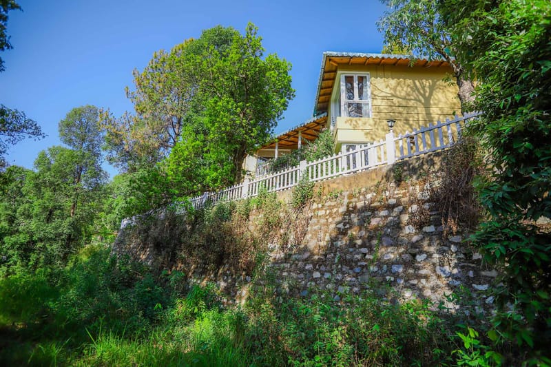 Jolly @ Mistletoe House – photo 40