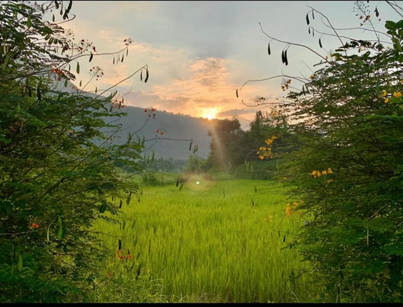SanvinaFarm - Karjat – photo 51