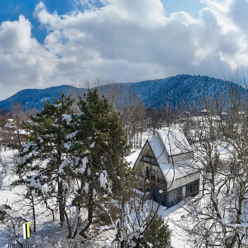 Cheese Cottage Estate ~ Olive Chalet – photo 7