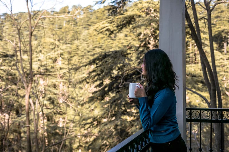 Pine Estate w/ Complimentary Breakfast – photo 15