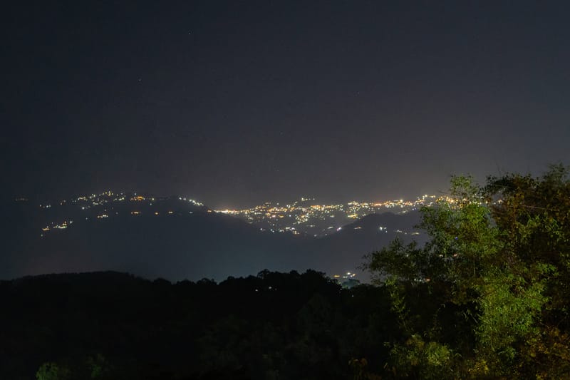 Bamboo Grove – photo 28