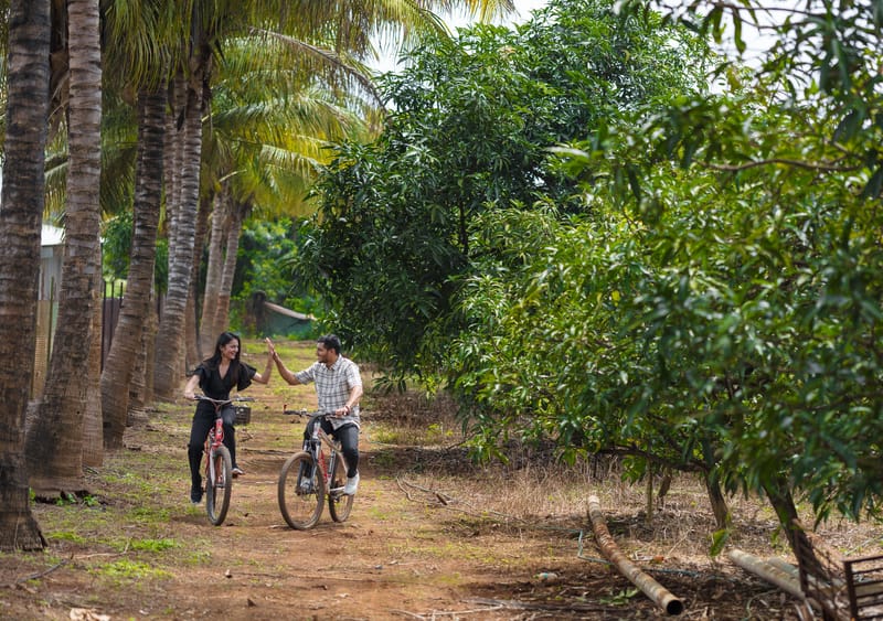 Mango Vino - Nashik, Igatpuri, Maharashtra – photo 29