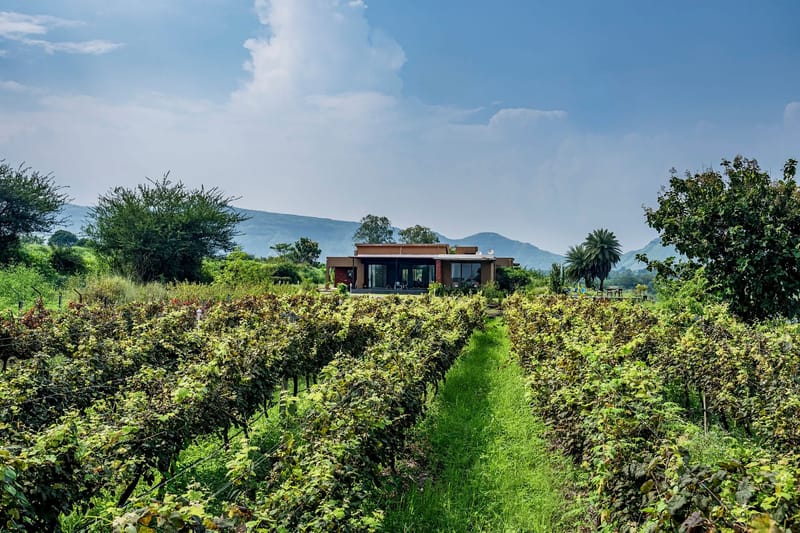 Rose Vineyard by the Lake - Villa in Nashik, Maharashtra – photo 2