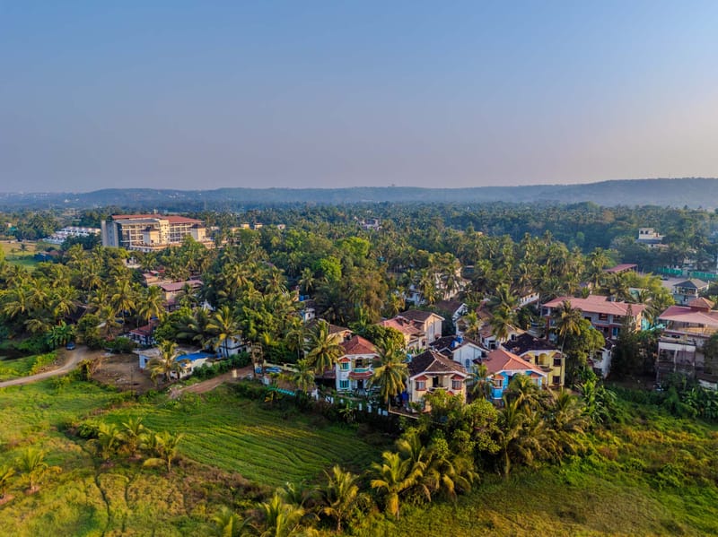 Cerulean Frame - Saligao – photo 22