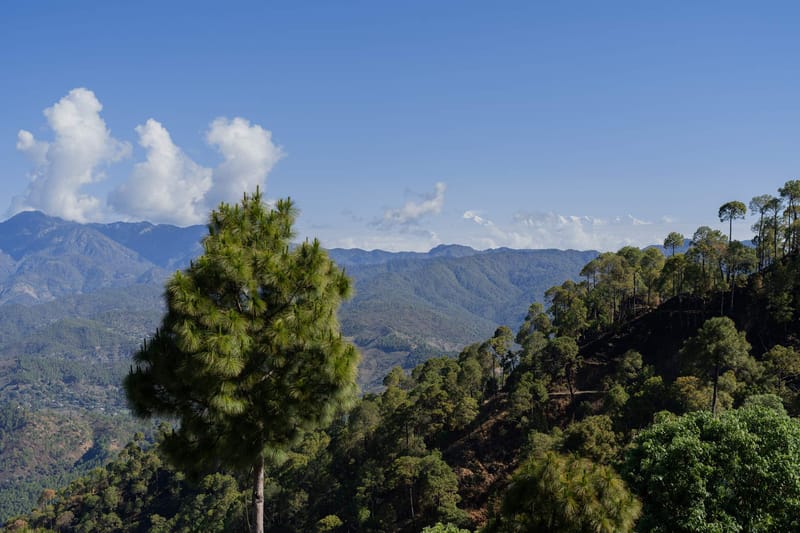 Suvas Villa – photo 4