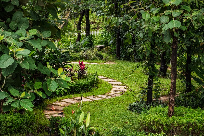 Aranyaani  – photo 29