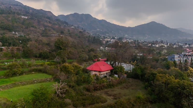 Casa Octavia – photo 46