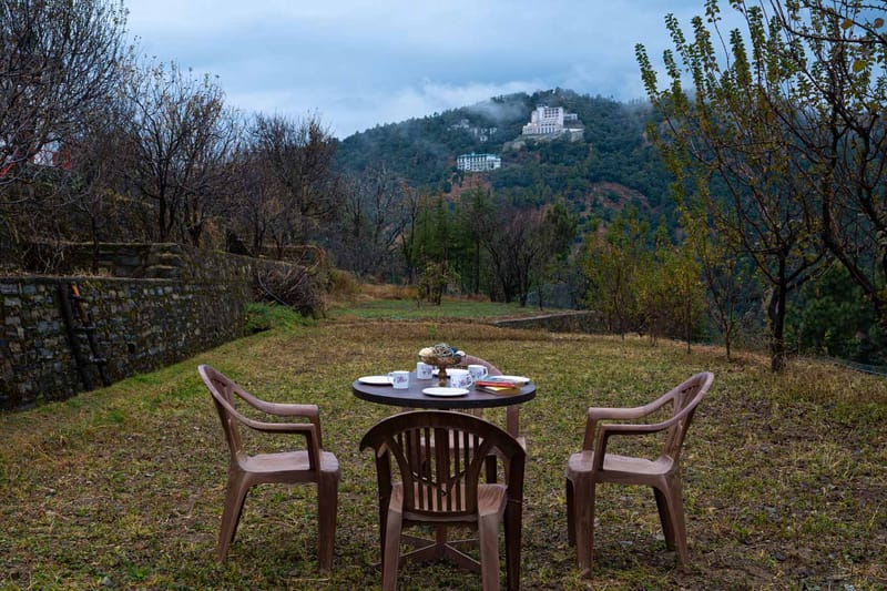 Sunshine Estate - Chail – photo 28