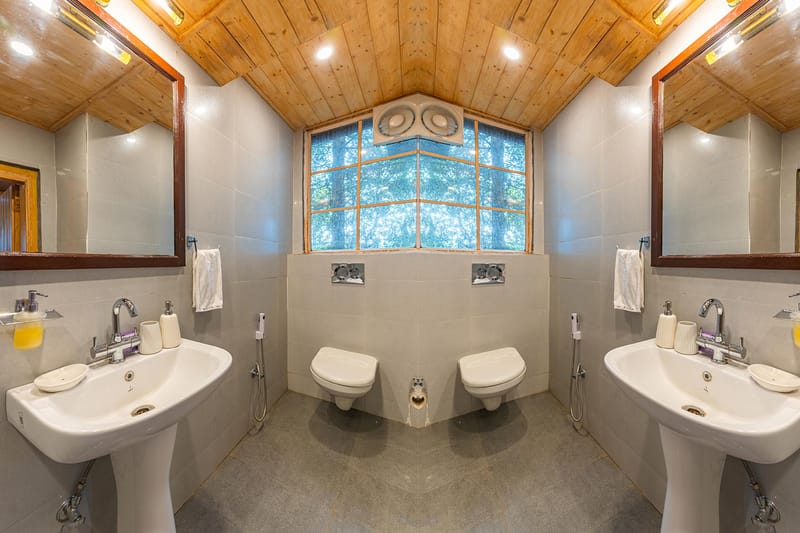 Lush @ Chalet Rushli - Kanatal – photo 22