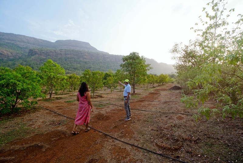 SanvinaFarm - Karjat – photo 47